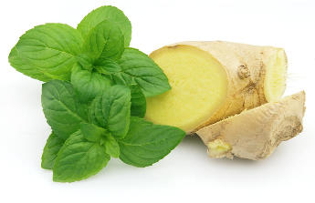 The ginger and the mint, as a part of the tools of the